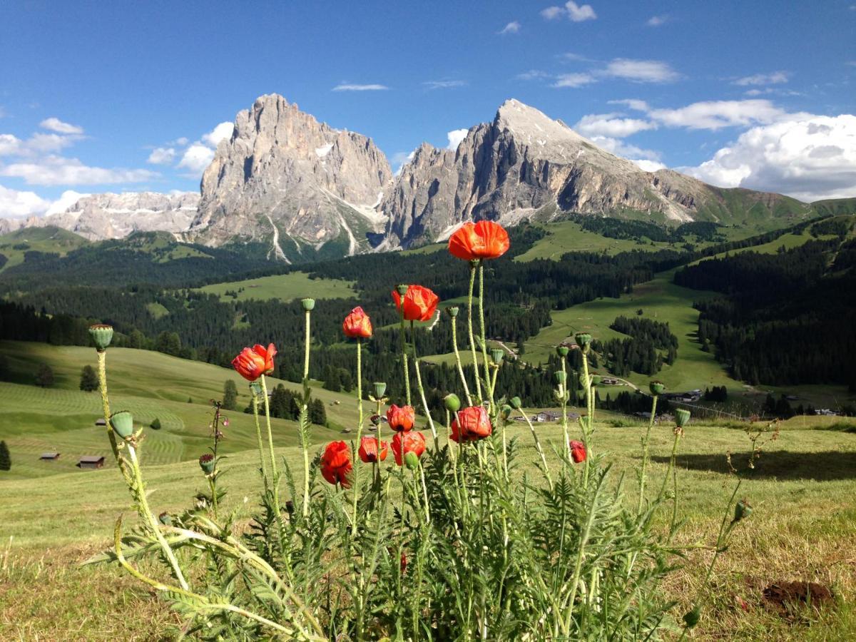 Binterhof Alpin Deluxe App Villa Castelrotto Exterior photo