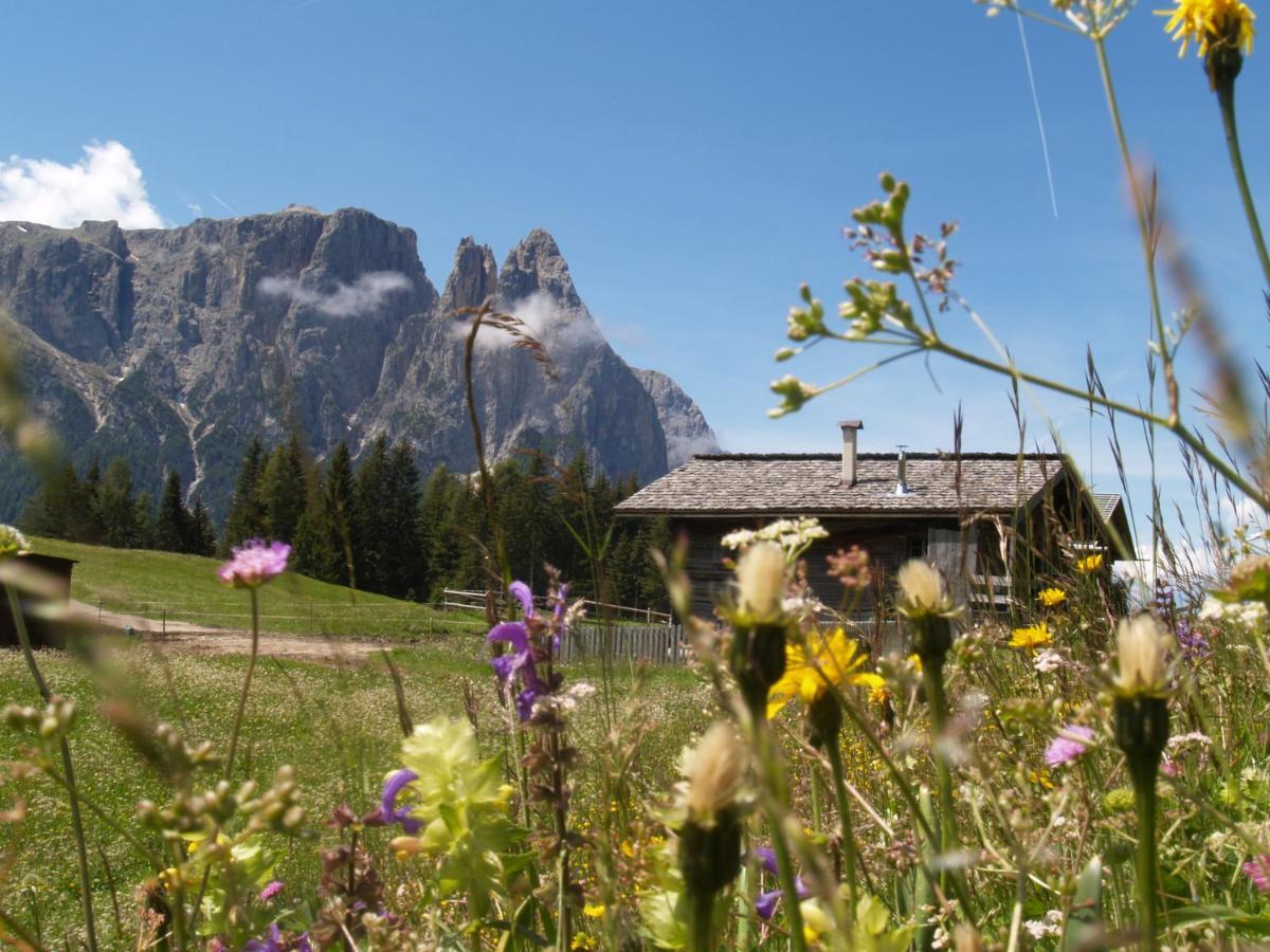 Binterhof Alpin Deluxe App Villa Castelrotto Exterior photo