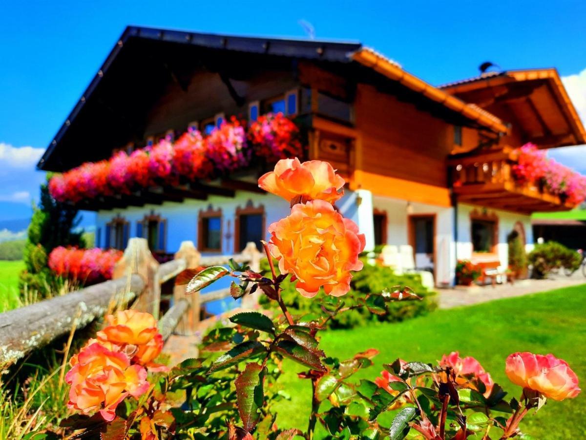 Binterhof Alpin Deluxe App Villa Castelrotto Exterior photo